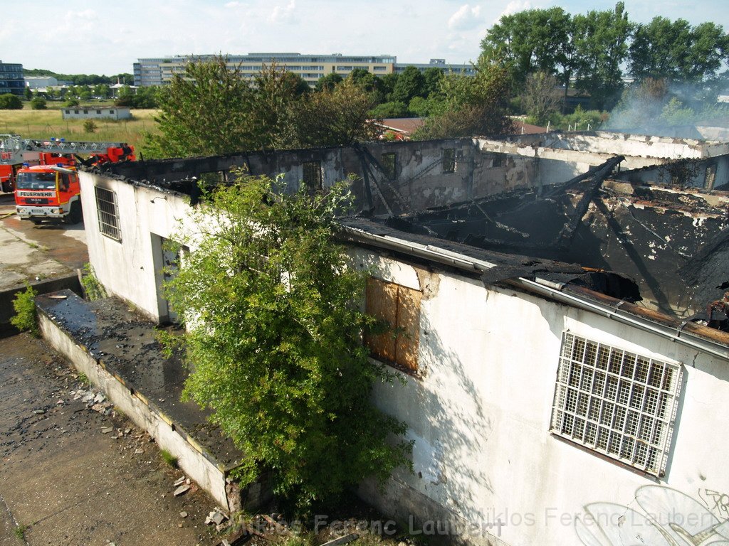 Feuer Koeln Ossendorf Butzweiler Hof neben IKEA P361.JPG